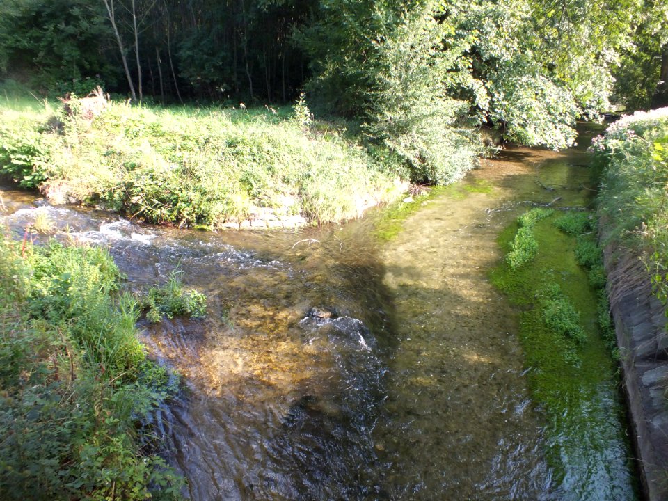 Wzwz Kalterbach 09a