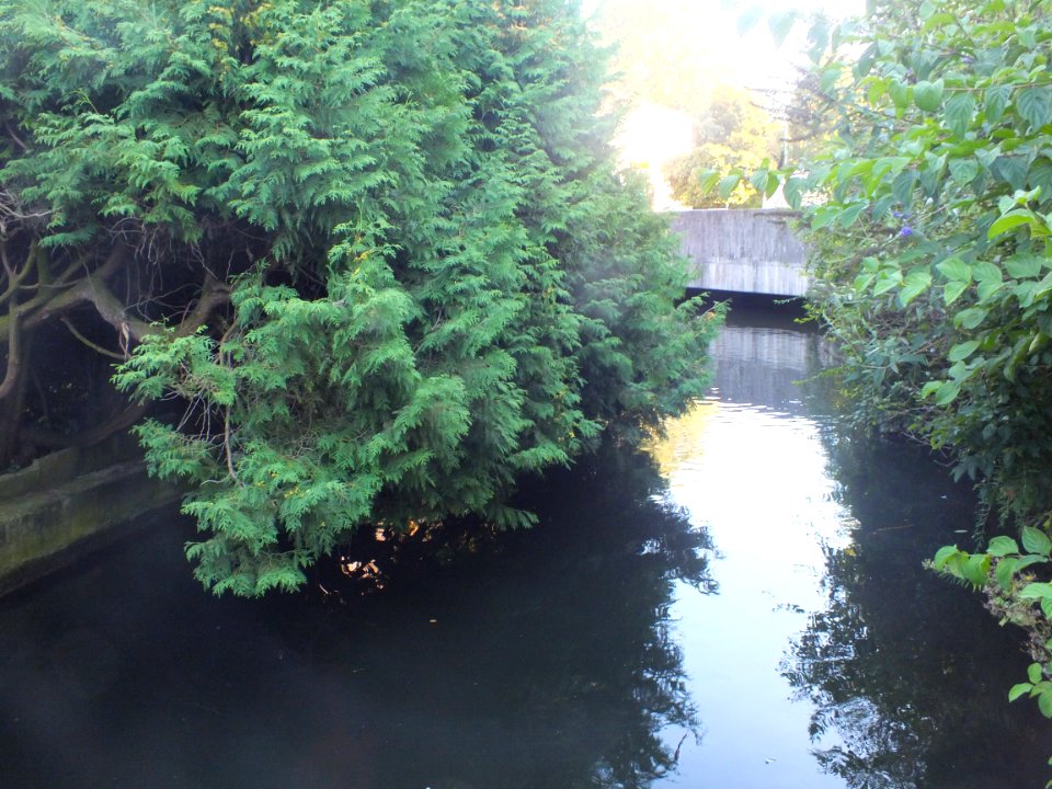 Wzwz groebenbach 02