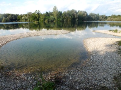 Wzwz dachau schinderkreppe n