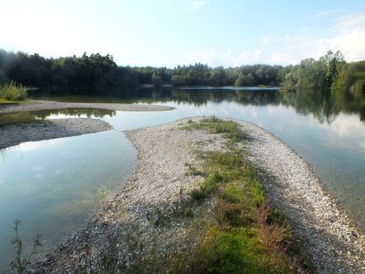 Wzwz dachau schinderkreppe o