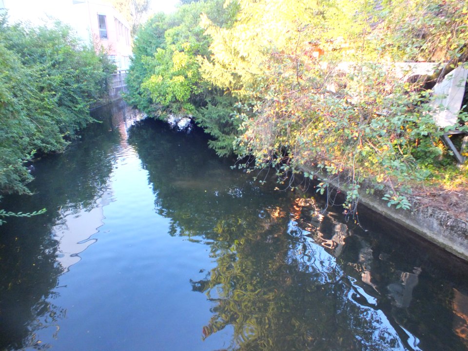 Wzwz groebenbach 01