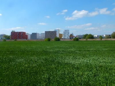 Wzwz nmk bp C 2016 05