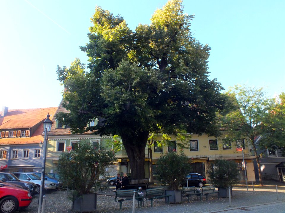 Wzwz dachau x08a widerstandsplatz