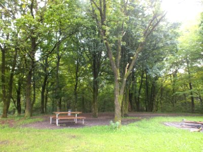 Wzwz dachau stadtweiher a