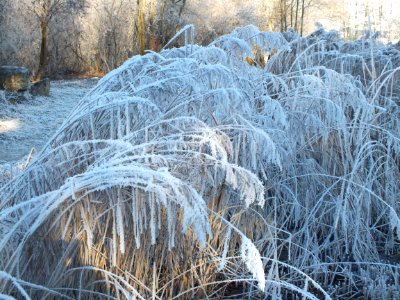 Wzwz LaWoK Würmschleife Winter 05