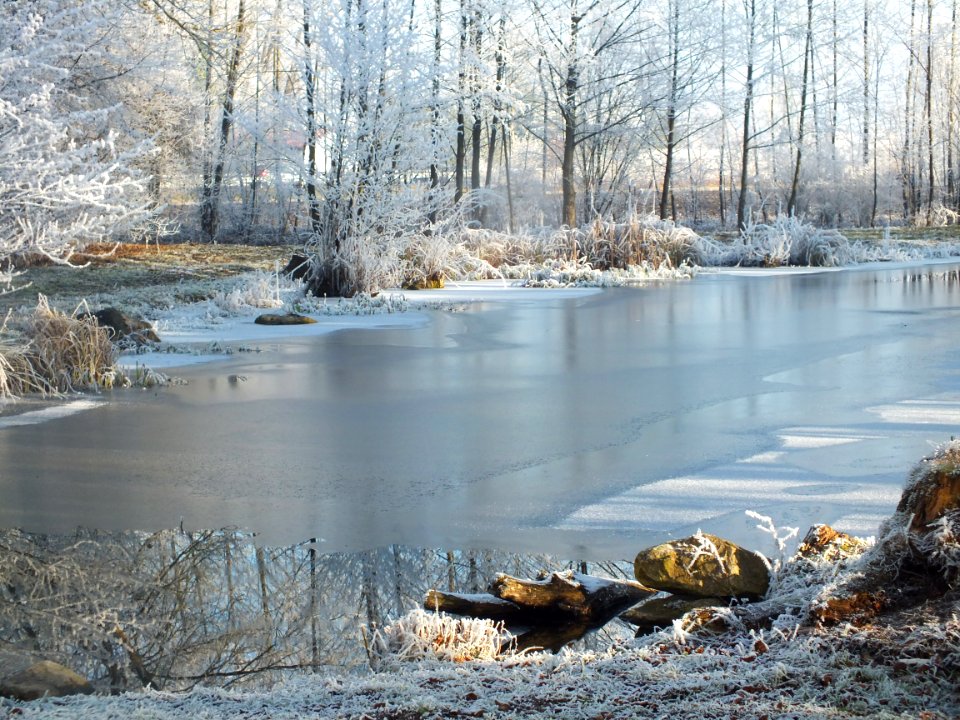 Wzwz LaWoK Würmschleife Winter 21