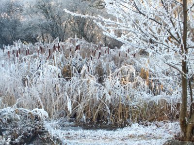 Wzwz LaWoK Würmschleife Winter 08