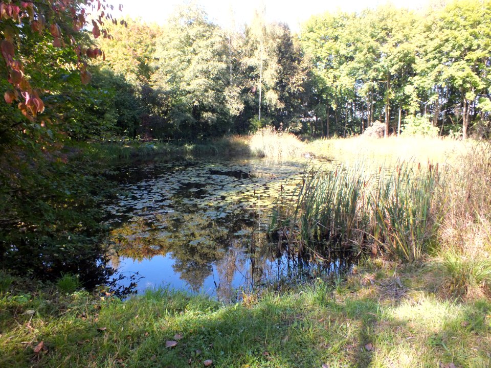 Wzwz LaWoK Westlicher See North