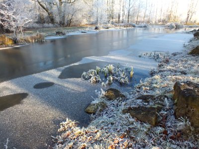 Wzwz LaWoK Würmschleife Winter 18