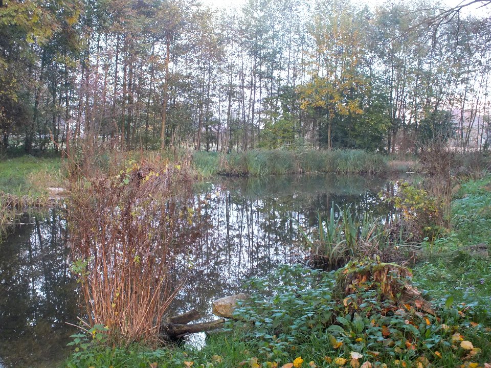Wzwz LaWoK Würmschleife Autumn 03