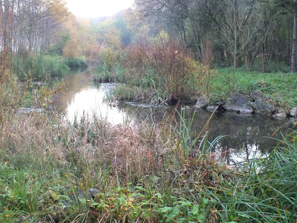 Wzwz LaWoK Würmschleife Autumn 05
