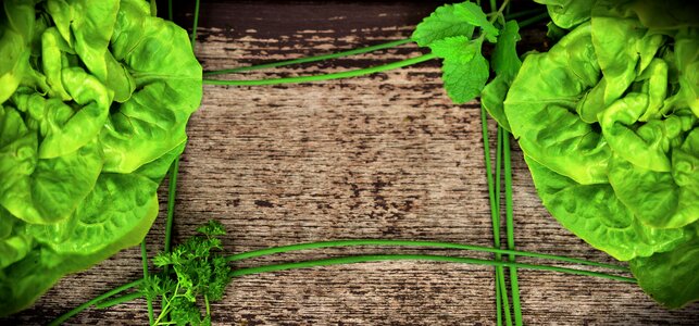 Green salad lettuce herbs