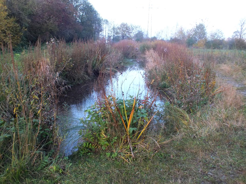 Wzwz LaWoK Würmschleife Autumn 01
