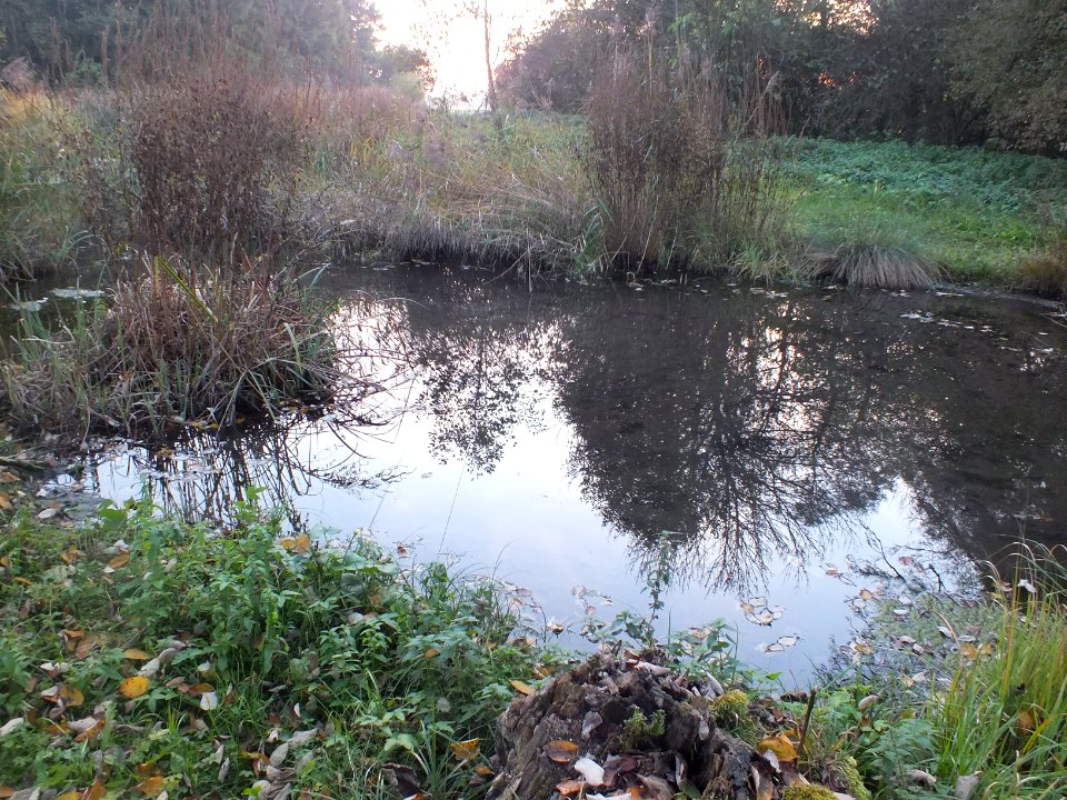 Wzwz LaWoK Würmschleife Autumn 04