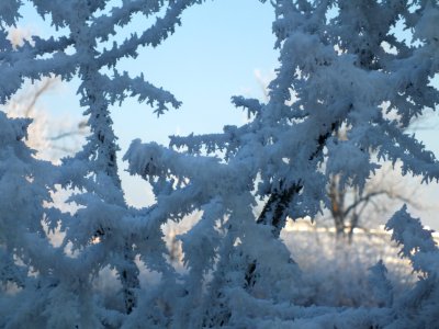 Wzwz LaWoK Würmschleife Winter 03