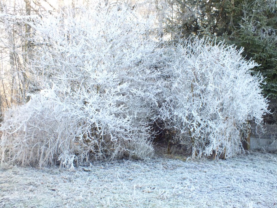 Wzwz LaWoK Würmschleife Winter 11
