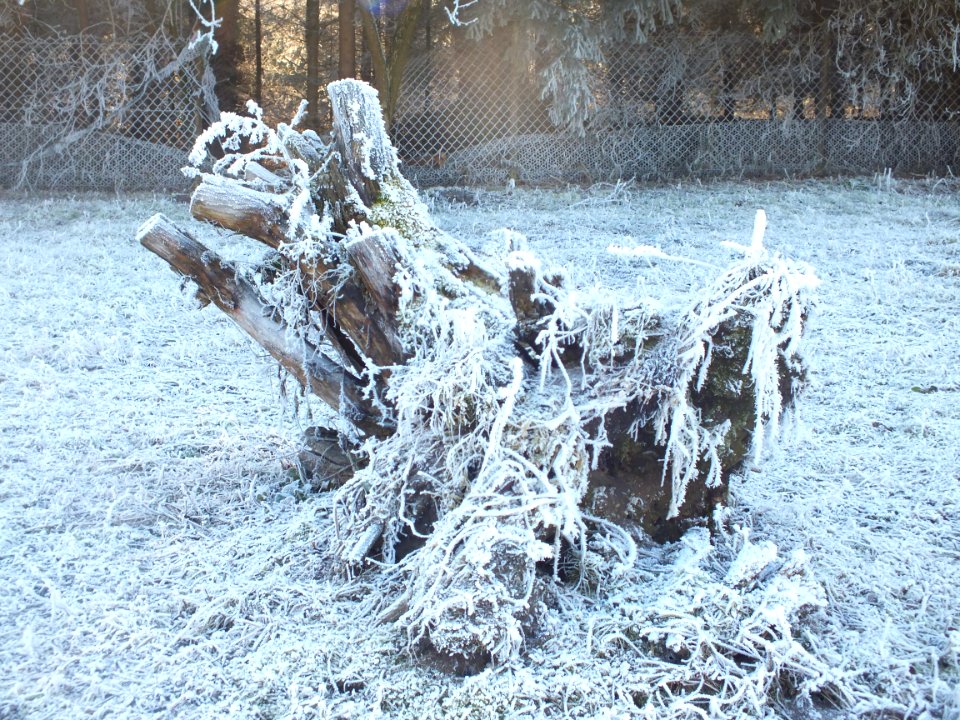 Wzwz LaWoK Würmschleife Winter 13