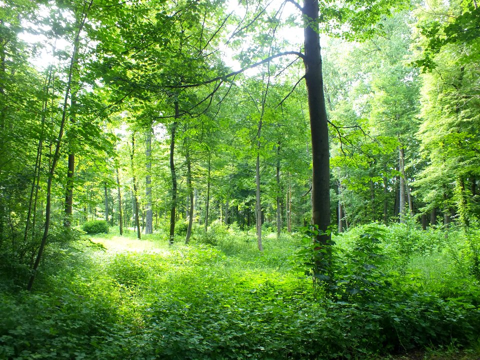 Wzwz LaWoK Waldschwaigweg 2