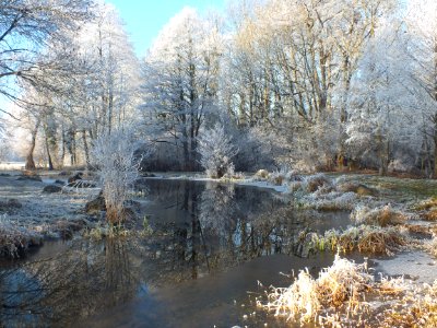 Wzwz LaWoK Würmschleife Winter 15