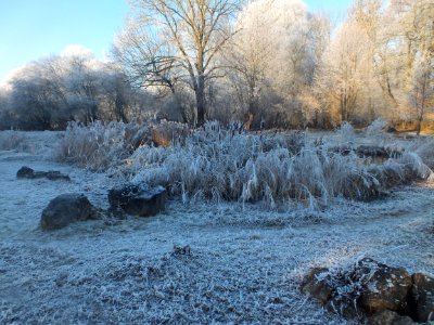 Wzwz LaWoK Würmschleife Winter 10