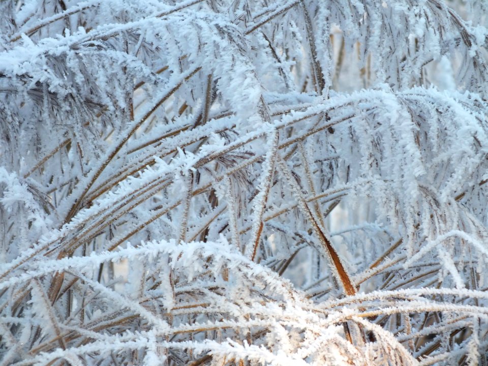Wzwz LaWoK Würmschleife Winter 06