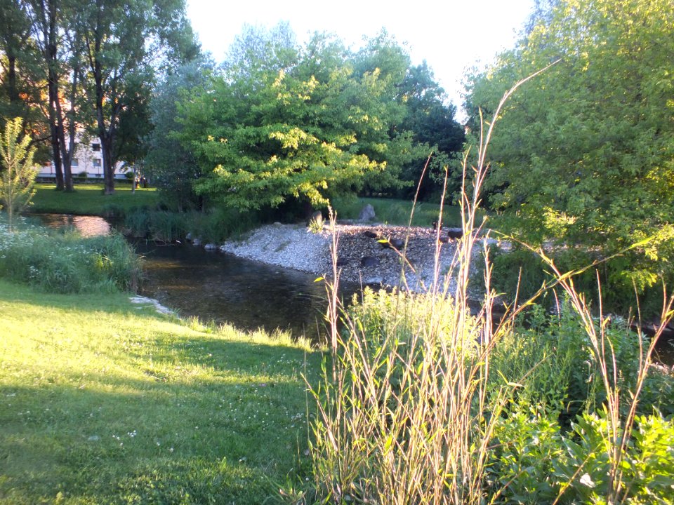 Wzwz munich petuelpark 09a