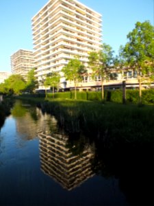 Wzwz munich petuelpark 08b