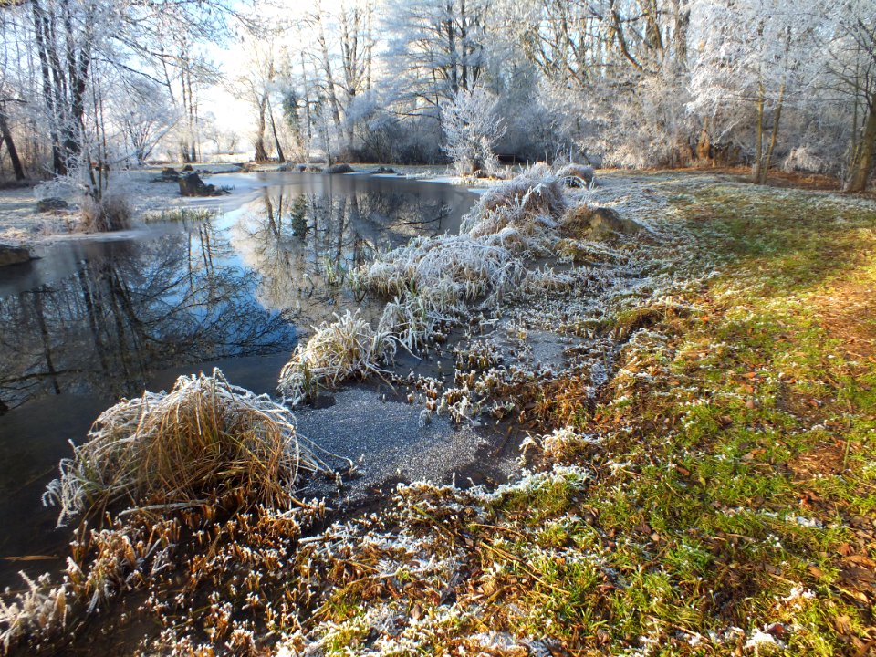 Wzwz LaWoK Würmschleife Winter 16