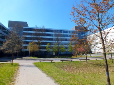 Wzwz munich atena 05
