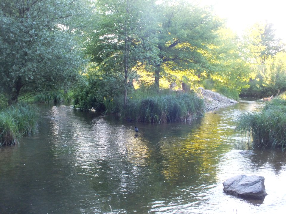 Wzwz munich petuelpark 08c