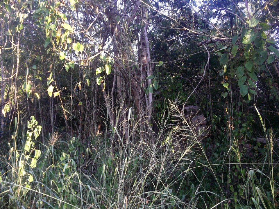 Xucú, Yucatán (01)