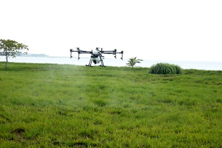Spray cultivation agriculture