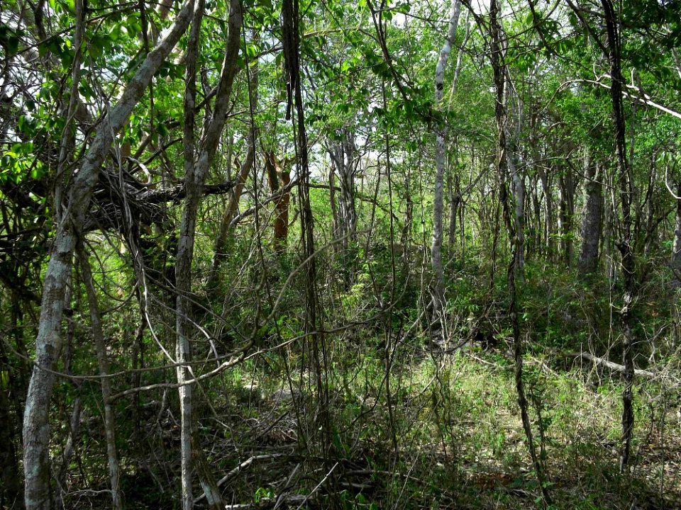 Xtobó, Yucatán (08)