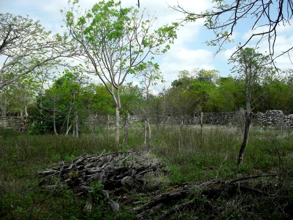 Xtobó, Yucatán (20)