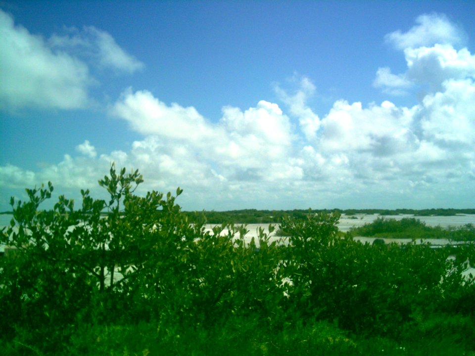 Xtul (Progreso), Yucatán (02)