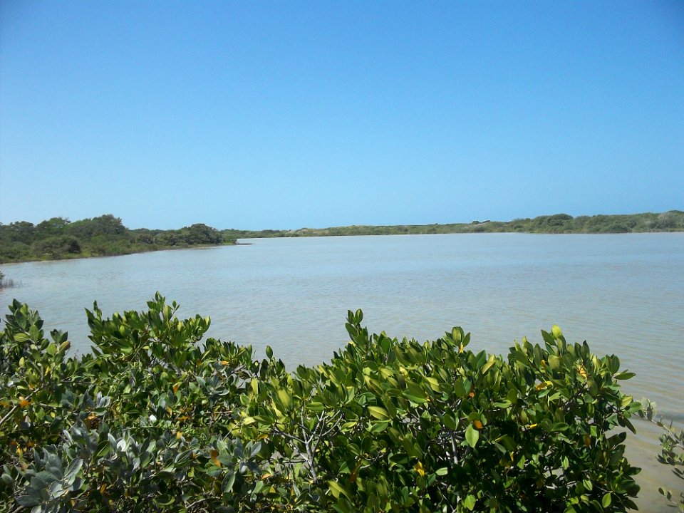 Xtul (Progreso), Yucatán (05)