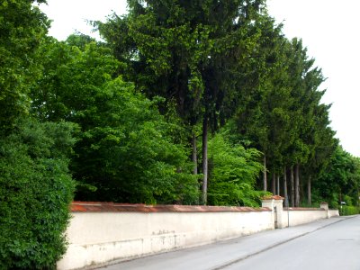 Wzwz munich fm-cem 1