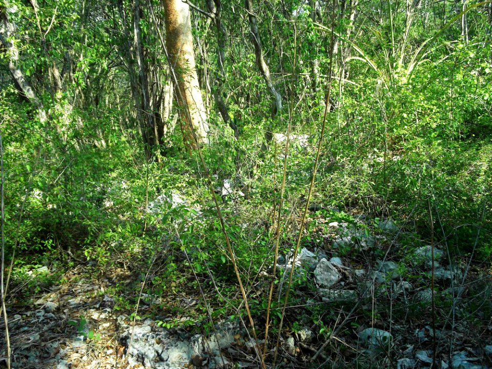 Xtobó, Yucatán (31)