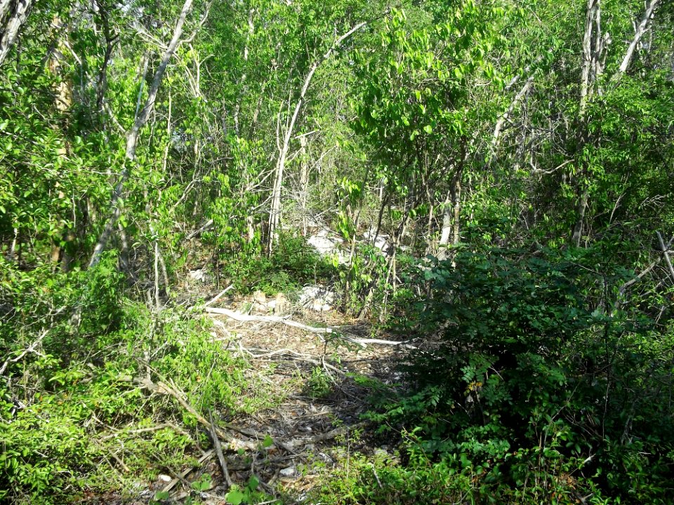Xtobó, Yucatán (27)
