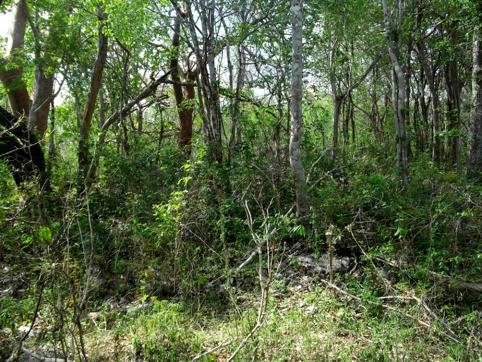 Xtobó, Yucatán (09)