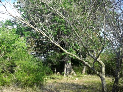 Xtobó, Yucatán (34)