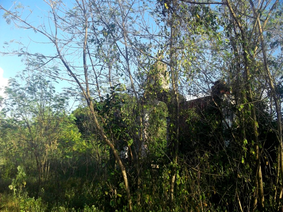Xucú, Yucatán (05)