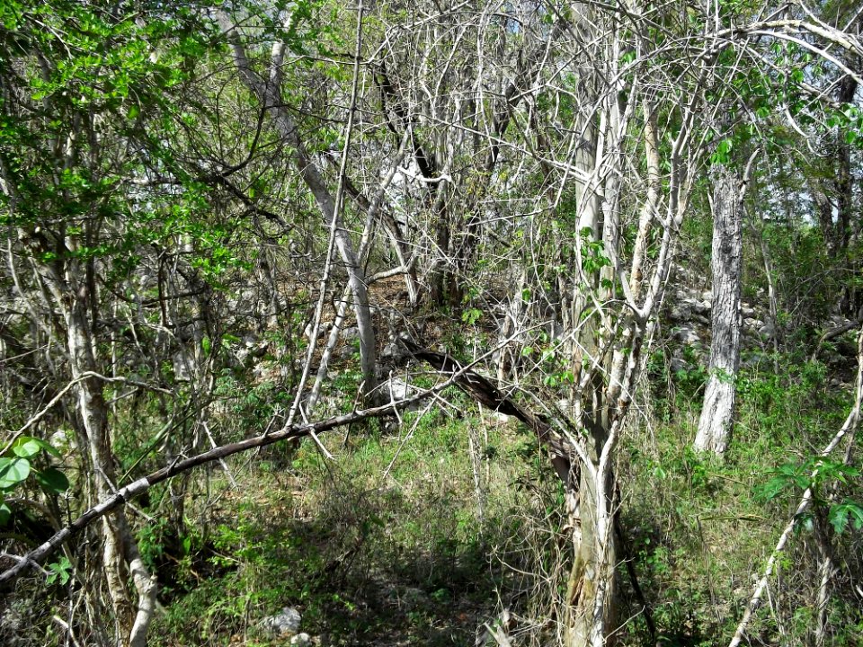 Xtobó, Yucatán (06)