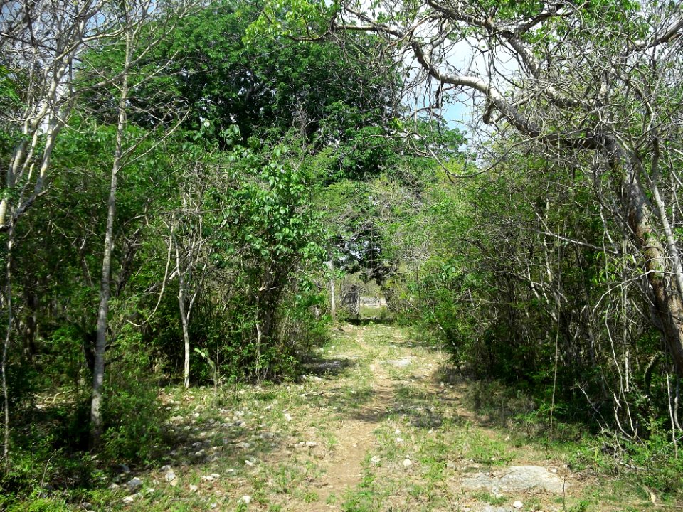 Xtobó, Yucatán (16)