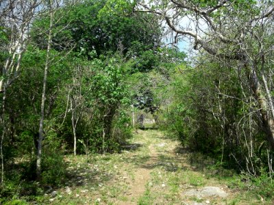 Xtobó, Yucatán (16)