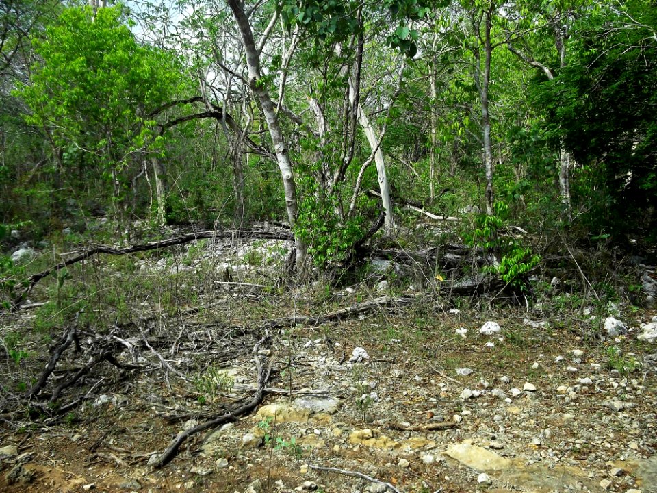 Xtobó, Yucatán (14)