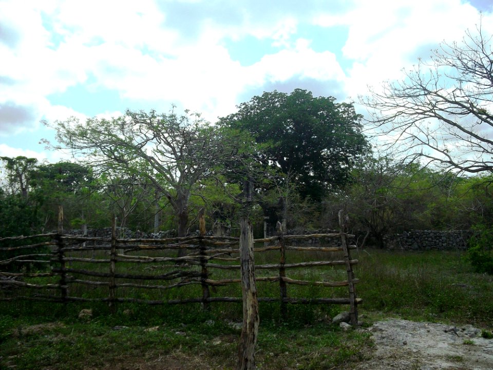 Xtobó, Yucatán (22)