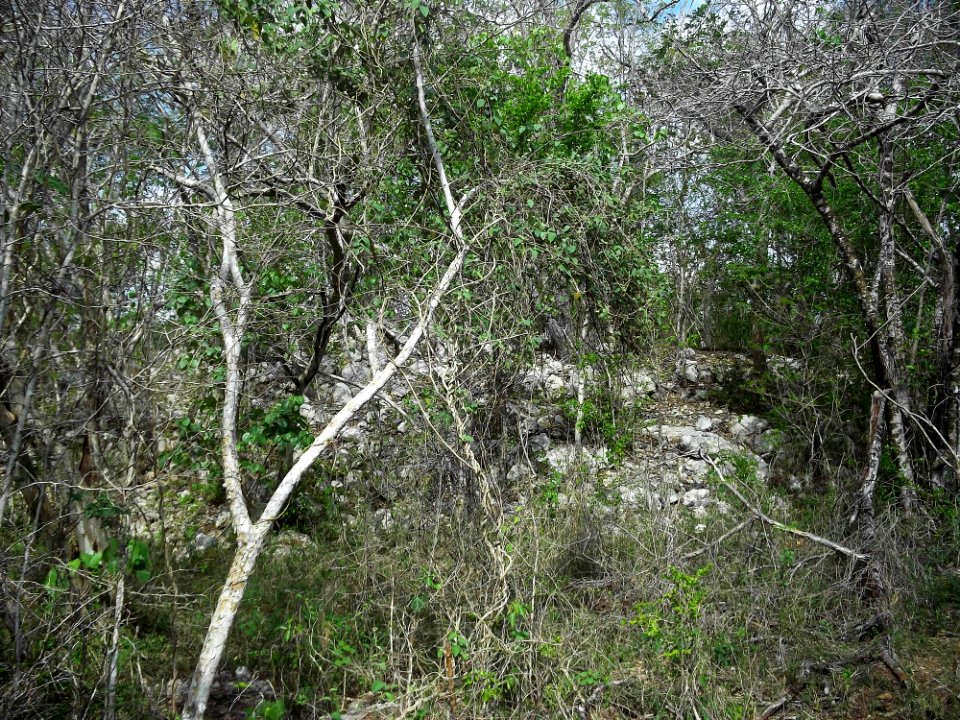 Xtobó, Yucatán (07)