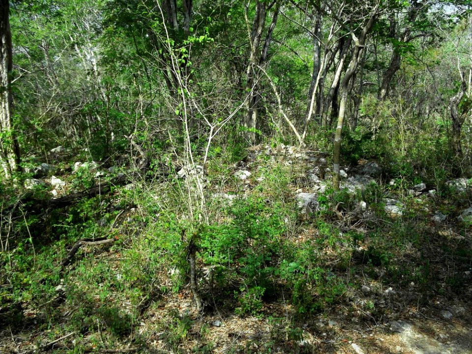 Xtobó, Yucatán (11)