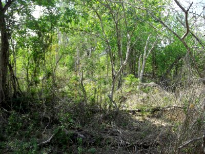 Xtobó, Yucatán (13)